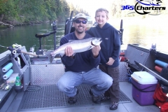 Coho Salmon