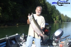 Coho Salmon