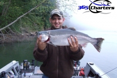 Coho Salmon