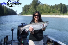Coho Salmon