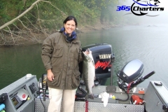 Coho Salmon