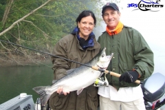 Coho Salmon