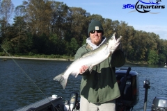 Coho Salmon