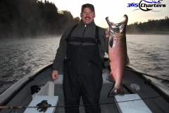 Coho Salmon