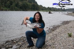 Coho Salmon