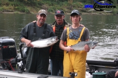 Coho Salmon