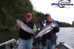 Coho Salmon