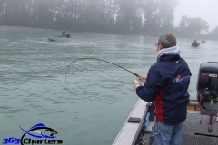 Fish On Pink Salmon