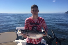 Puget Sound Coho