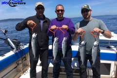 Puget Sound Summer Coho