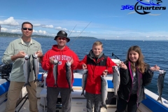 Puget Sound Summer Coho