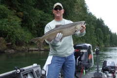 Chinook Salmon