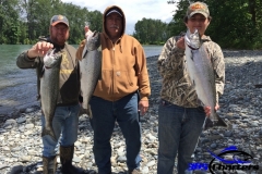 KingSalmon005