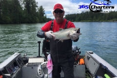KingSalmon008