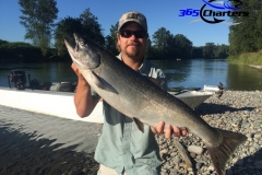 Chinook Salmon