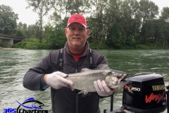 KingSalmon010