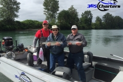 KingSalmon012