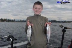 Kokanee