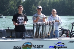 Pink-Salmon003