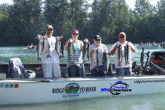 Pink Salmon