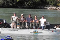 Pink Salmon