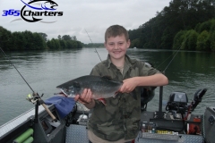 Pink-Salmon010