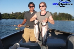 Pink-Salmon012