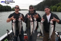 Pink-Salmon013
