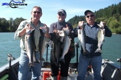 Pink-Salmon014