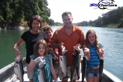 Pink-Salmon015