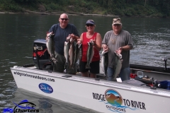 Pink-Salmon017