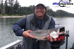 Pink-Salmon020