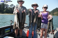 Pink-Salmon025