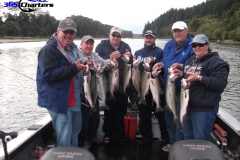 Pink-Salmon026