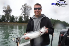 Pink-Salmon027