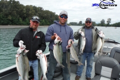 Pink-Salmon030
