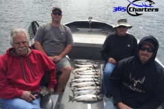 Pink-Salmon036