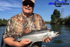 Pink-Salmon038