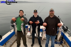 Puget Sound Pink Salmon