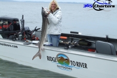 Sturgeon