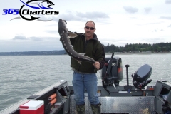 Sturgeon
