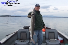Sturgeon