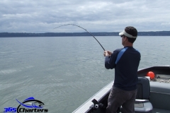 Sturgeon