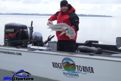 Sturgeon