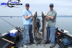 Sturgeon