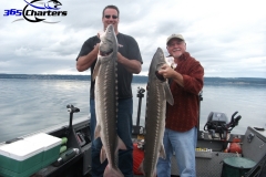 Sturgeon