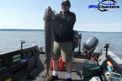 Sturgeon