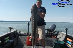 Sturgeon