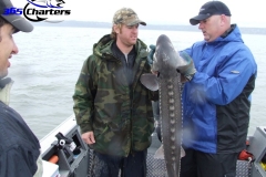 Sturgeon