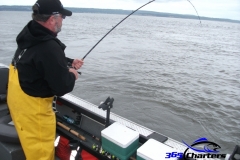 Sturgeon